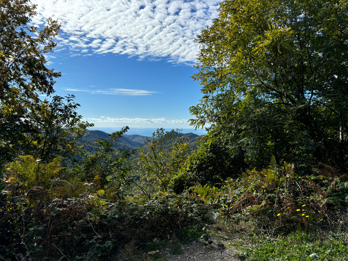 Фото автора. Нам важно сбегать от шума больших городов, но с каждым годом заметнее, что сделать это все сллжнее