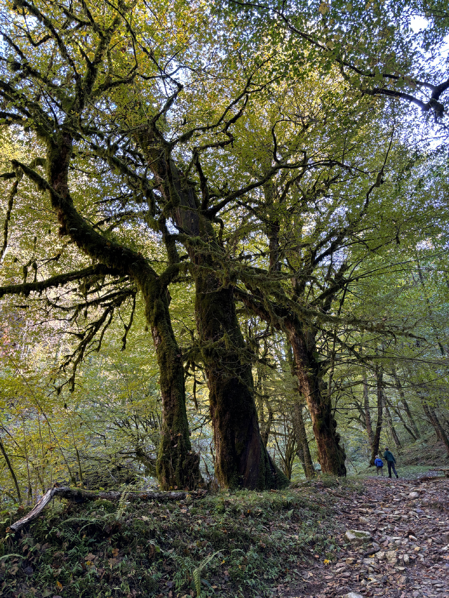 Фото автора. Я не знаю, какими увижу любимые места через год… Узнаю ли их…