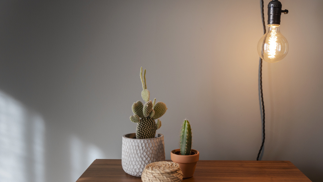    Фото: Erik Reis/IKOstudio.MERAQUI Ph/Globallookpress