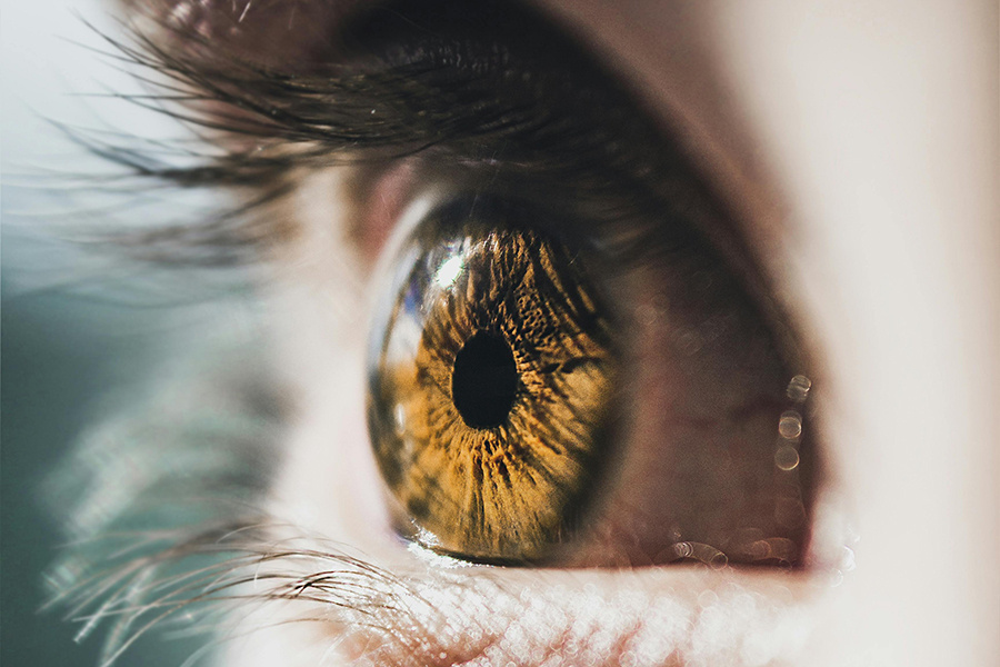    Фото: Mark Arron Smith / Рexels.com