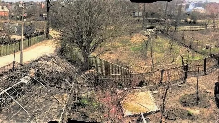     Источник: rostovgazeta.ru