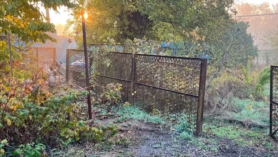     Автор: Ольга Шкунова Источник: rostovgazeta.ru