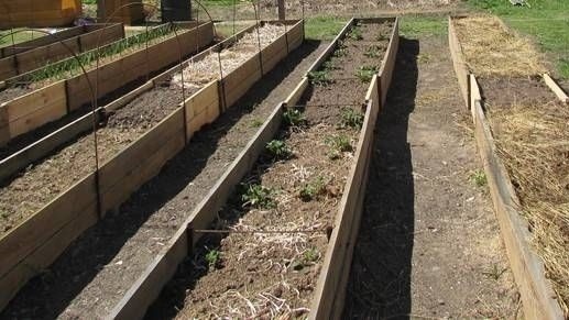 Фото с pinterest.com