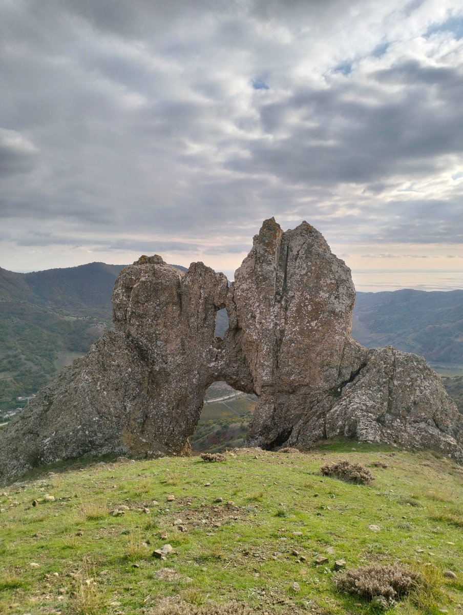 А вот и два медвежонка в поцелуе
