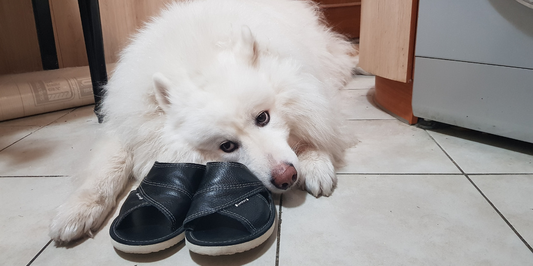 Осенний день