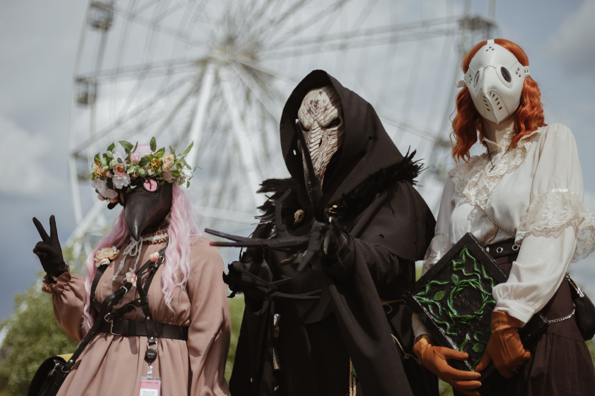 © Фото: ИД «Волгоградская правда» / Иван Козлов / архив; proprikol, bestkartinki.ru.