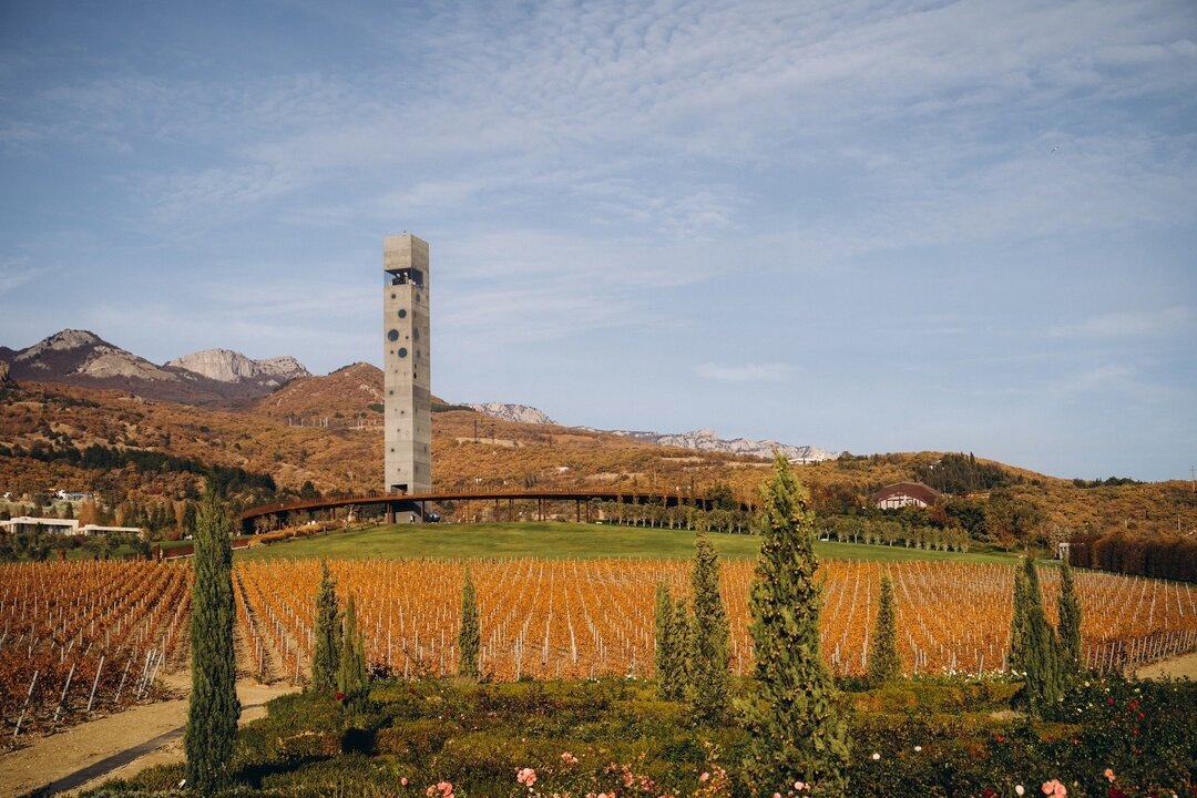 Фото: Винный парк/vk.com