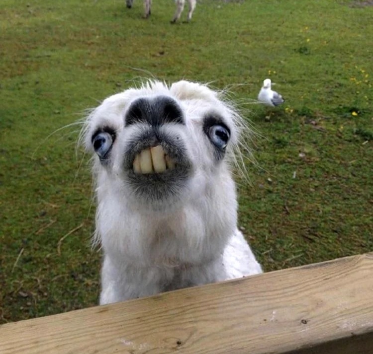 Источник: sotni