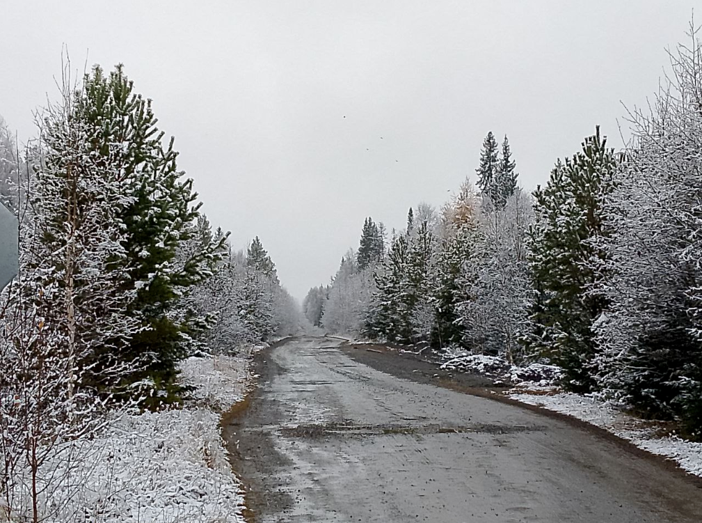 Фото из коллекции подписчицы Татьяны.