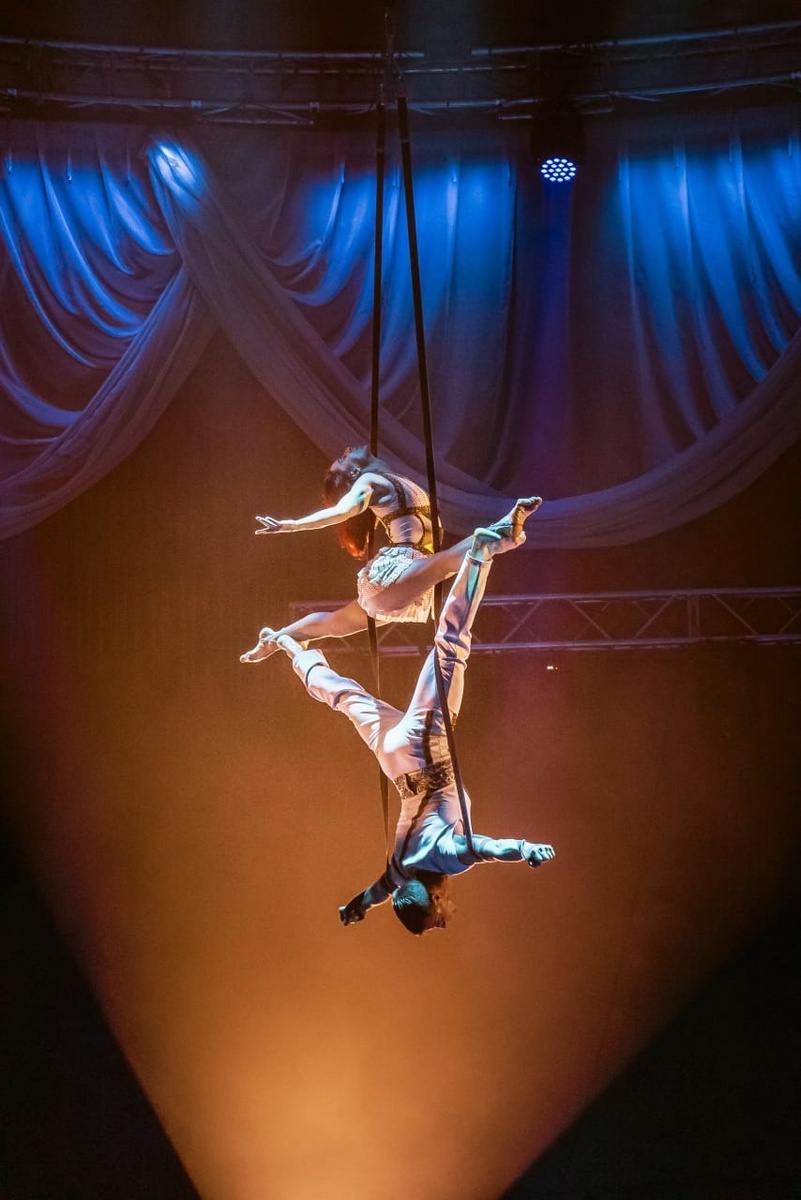     Источник: ООО «Арт-Парк Русь»