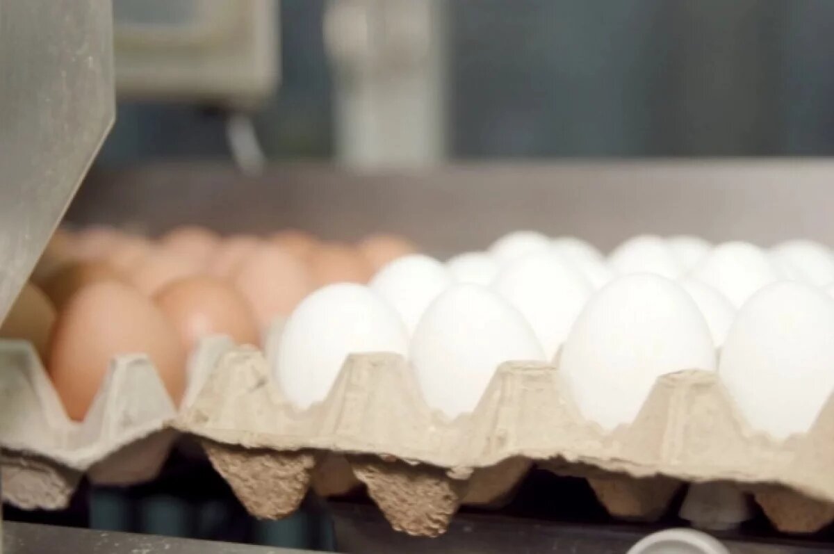    На Камчатке ведется работа с незаконным увеличением цен на яйца