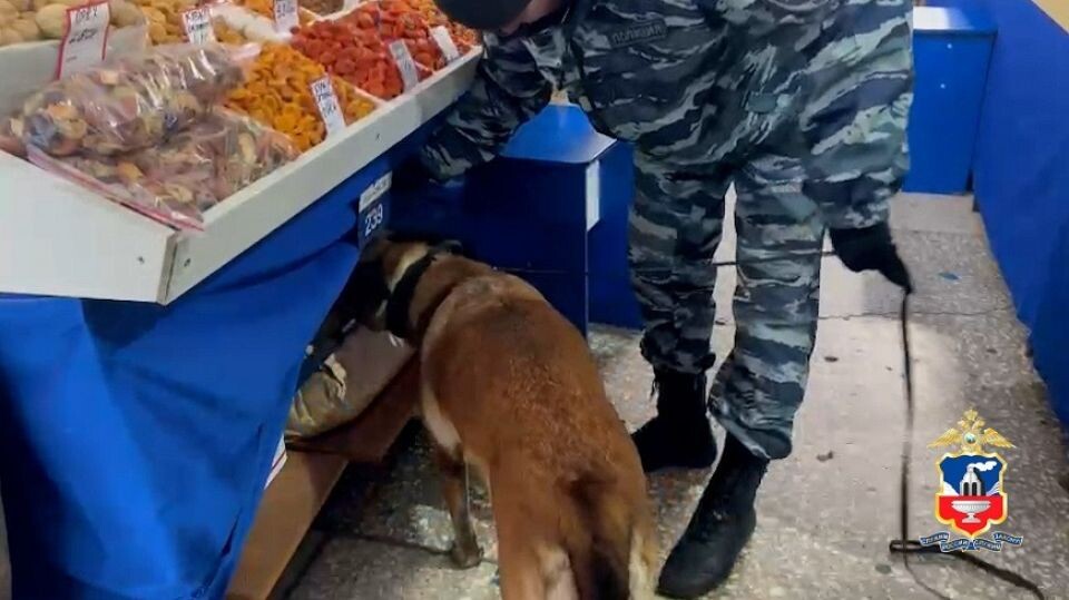    Обыски в здании одного из рынков. Источник: ГУ МВД России по Алтайскому краю