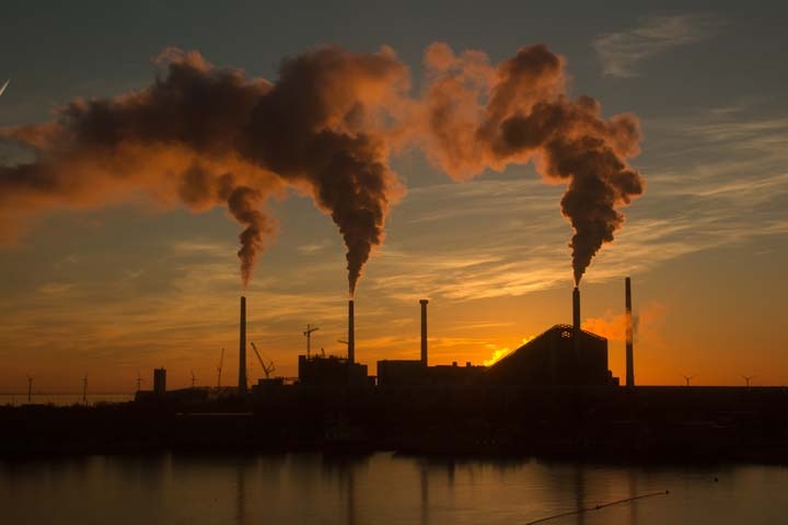 Фото: ru.freepik.com 