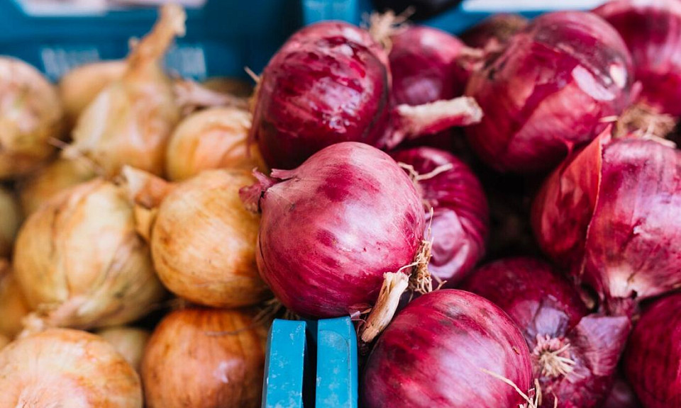 Фото: ru.freepik.com