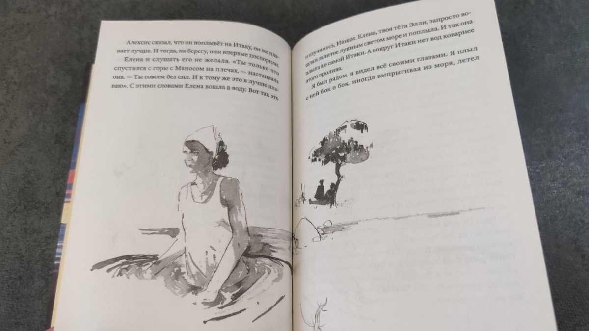 Бумага кремовая, пухлая. Внутри много рисунков, некоторые занимают половину страницы, некоторые – больше, почти весь разворот