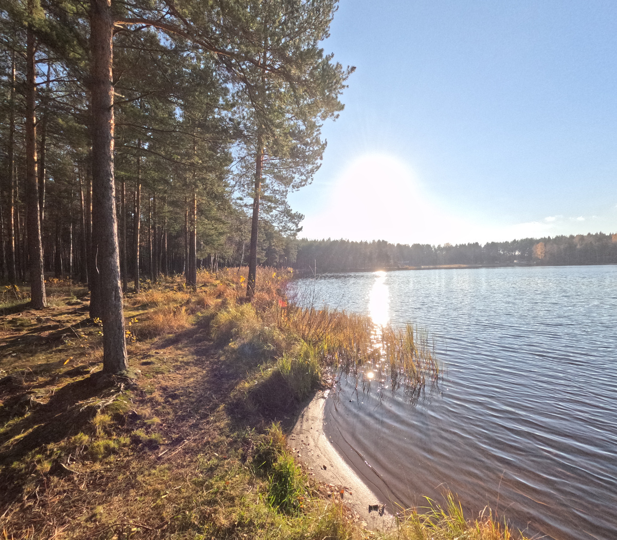 Озеро в Ленинградской области. Фотография - estate.gorbunovb2b.ru