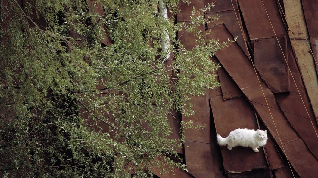    Evgeniy Kanaev/Globallookpress