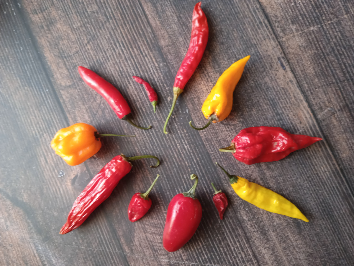 11 друзей Оушена))