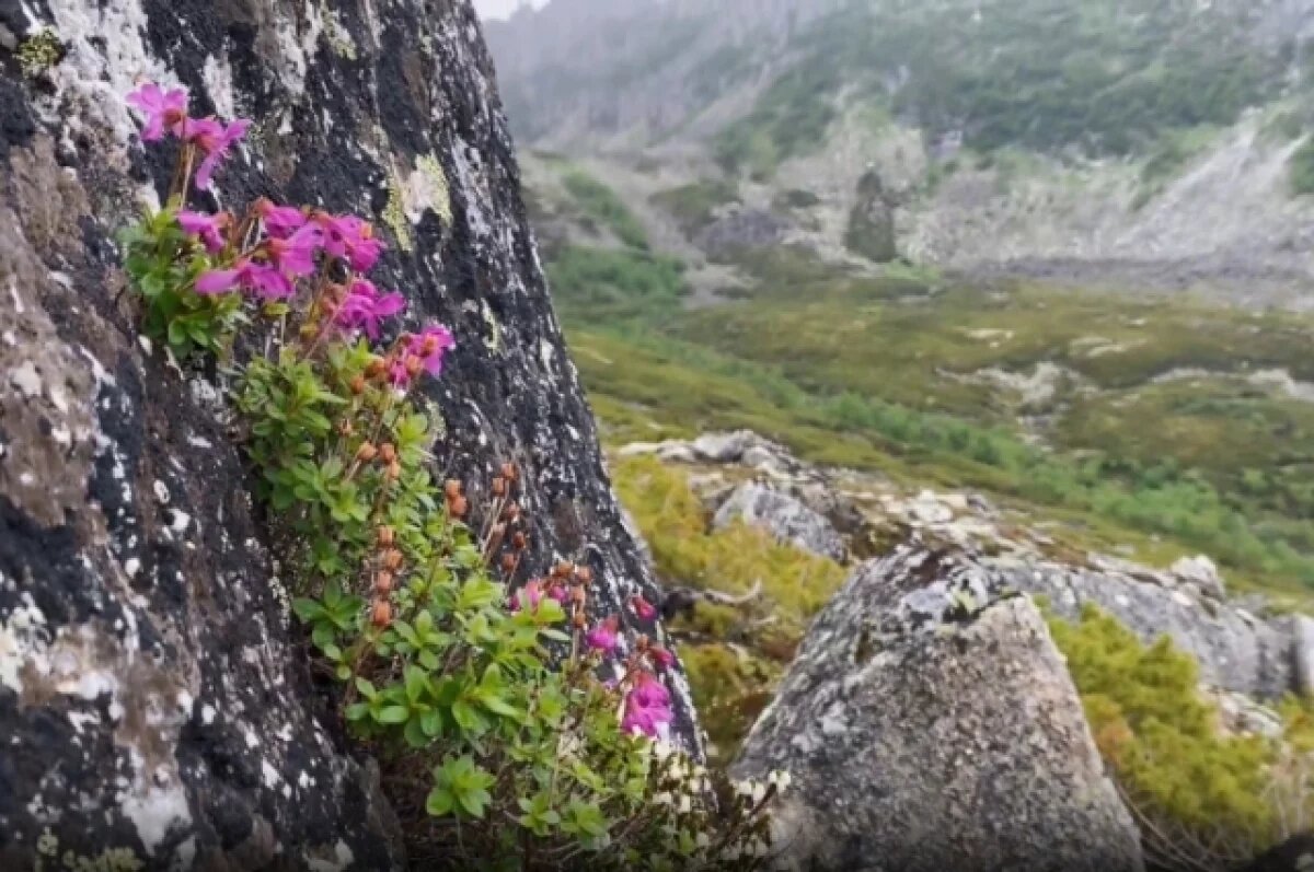    Хабаровчанин завоевал горы Дуссе-Алиня и изменился навсегда