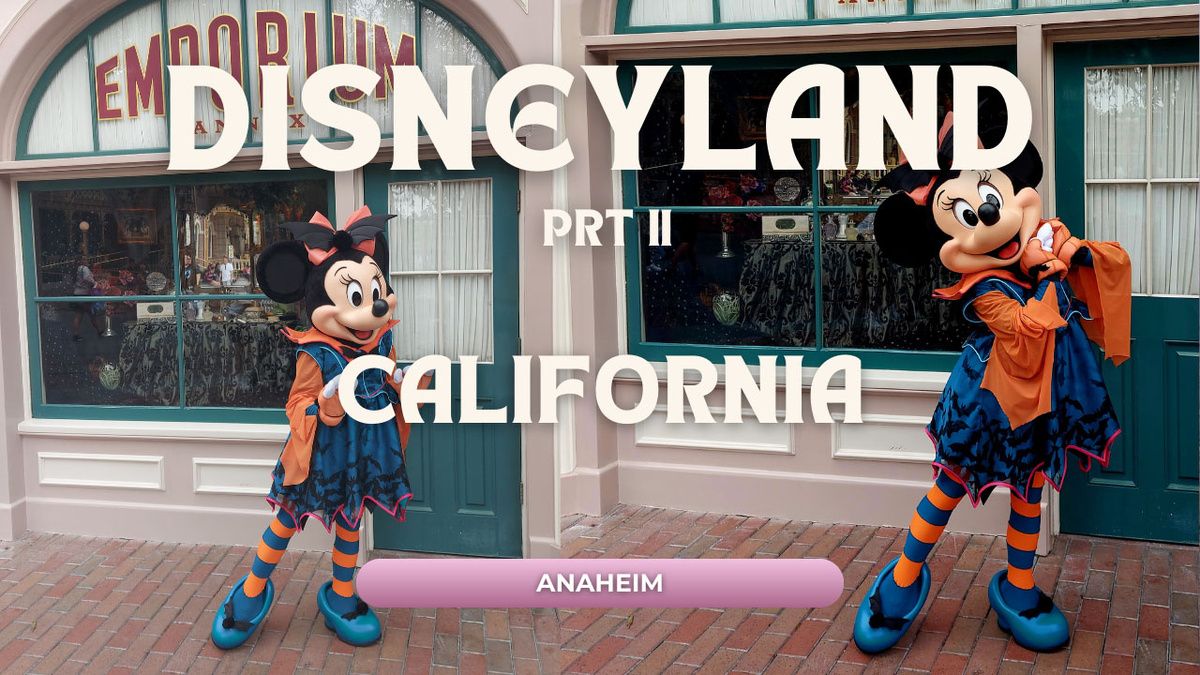 Фото и видео из личного архива автора.