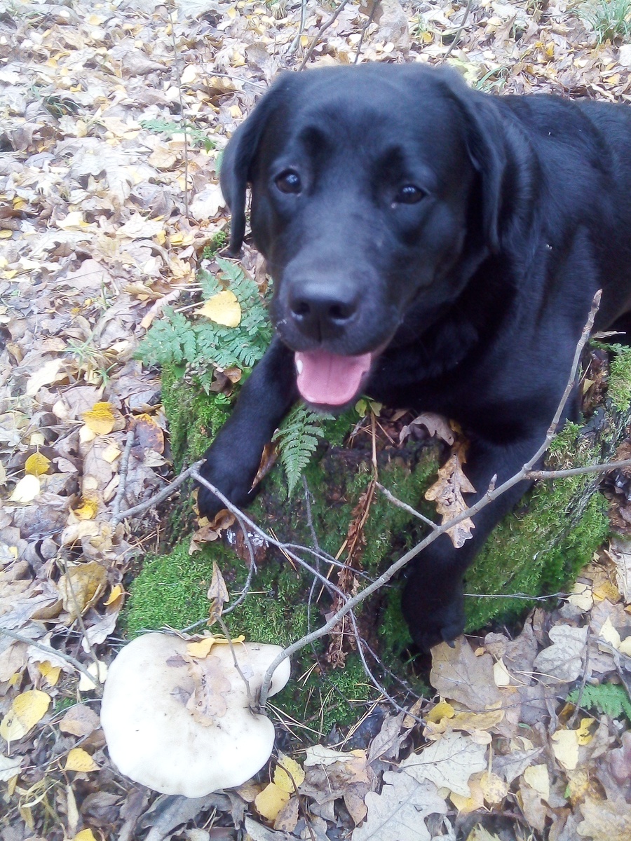 Фото автора.