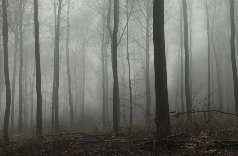 Создать карусельДобавьте описание