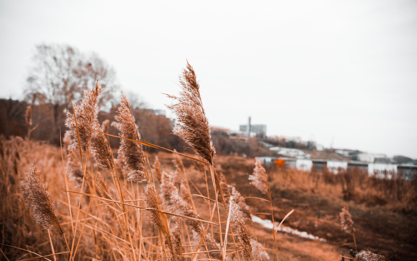    Главные новости Ижевска на утро 31 октября: вопрос объединения школ и задержание начальницы отделения связи