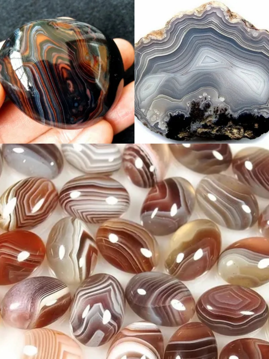 Фотоколлаж автора статьи 