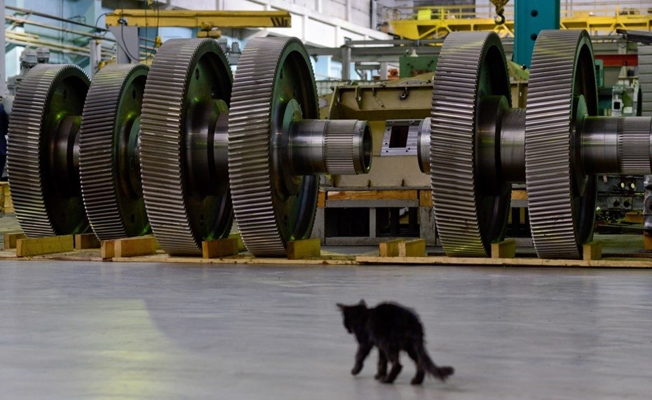    Автор фото: архив "ДП"