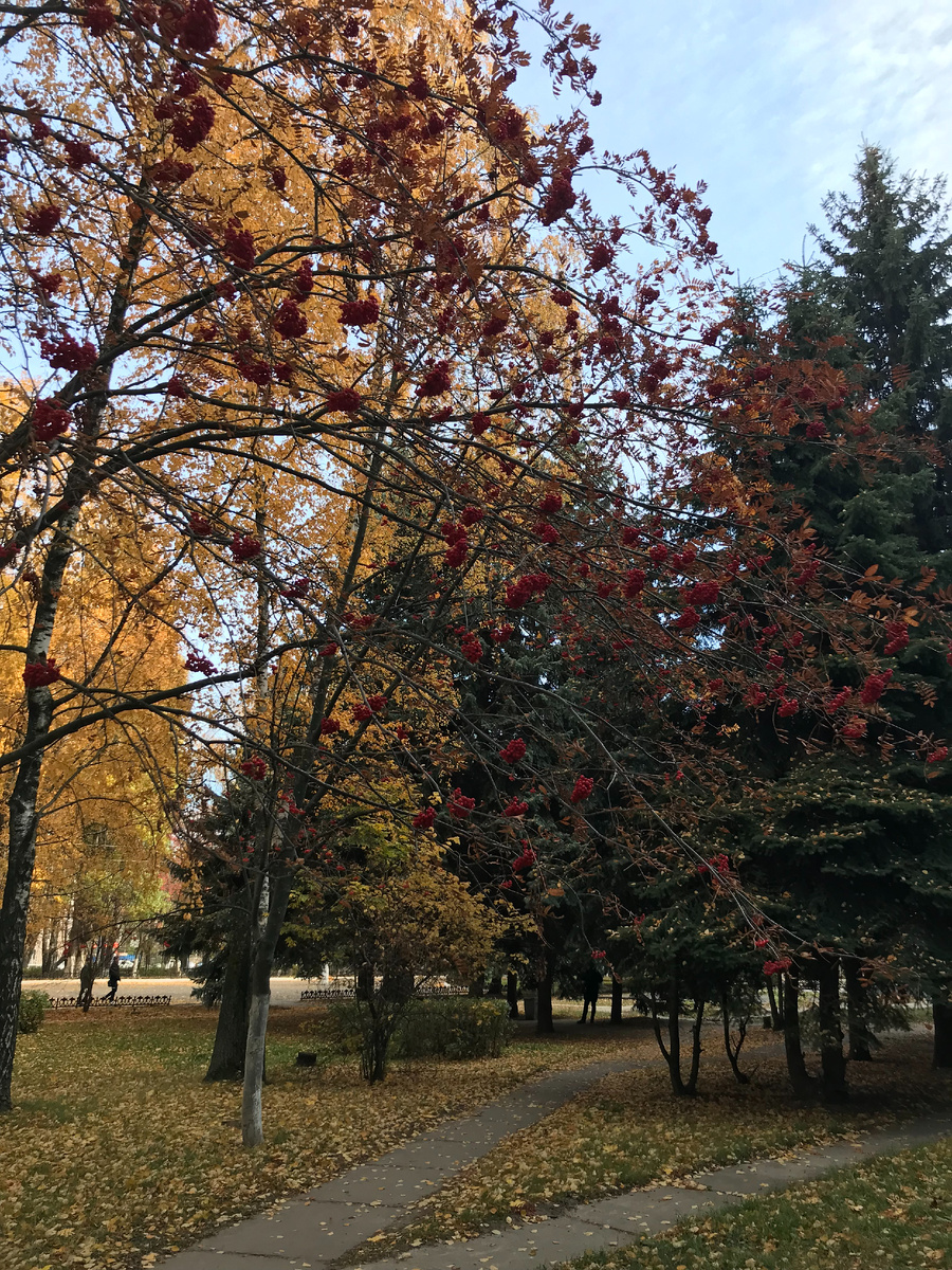 Осень в городе