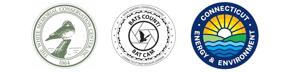Логотипы организаторов проекта  Bats Count! Bat Cam Emergence Count
