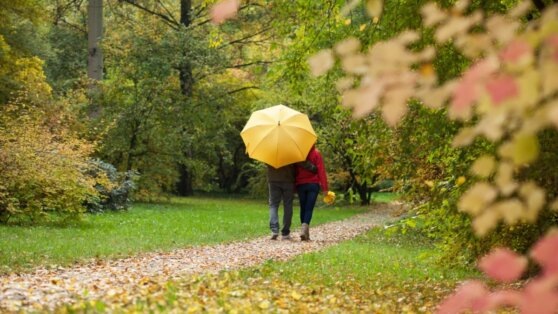    31 октября в Москве ожидается облачная погода с прояснениями, местами небольшие осадки Егор Гордеев