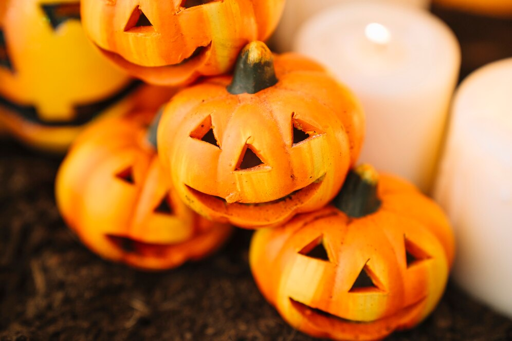 https://img.freepik.com/free-photo/halloween-decoration-with-close-up-view-pumpkins_23-2147675426.jpg?t=st=1730349825~exp=1730353425~hmac=d192465b5a518a5a32394567983e58cfae9a5db4bb1bf6a31c7e67c1b4854505&w=996