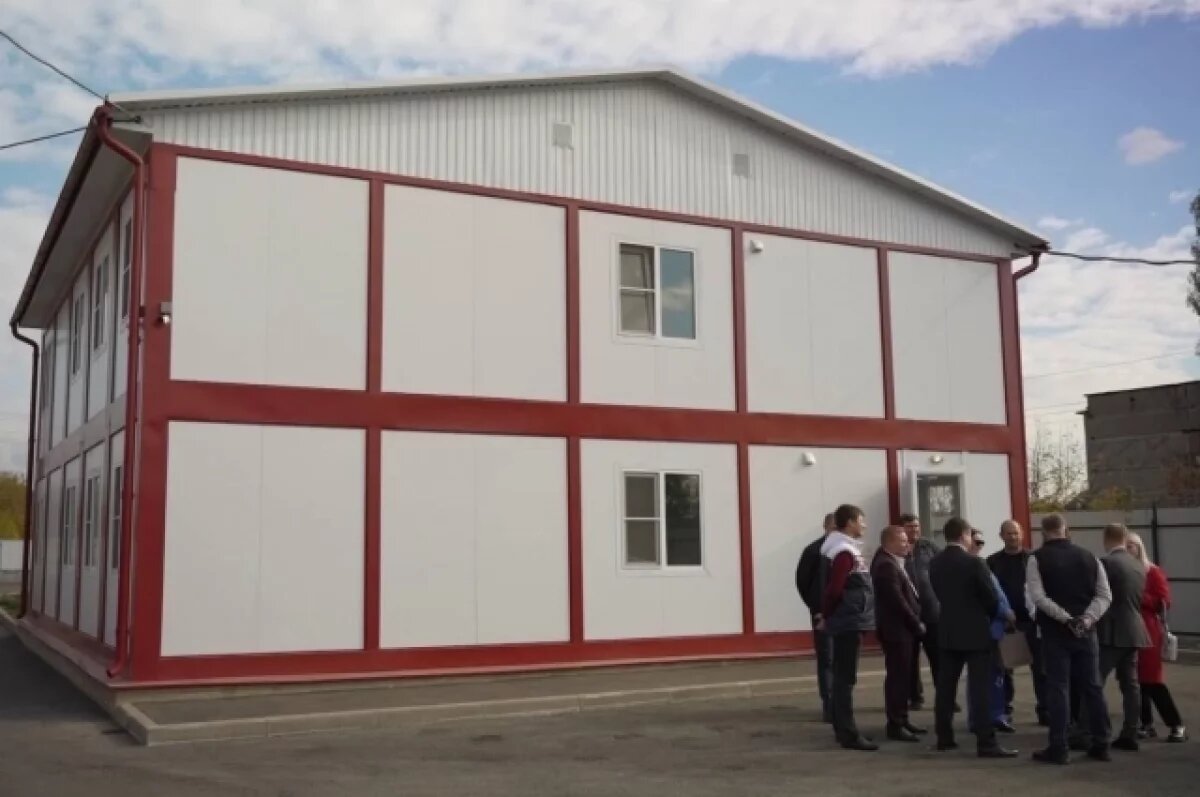    В Краснодаре создадут «Управление по обращению с животными»