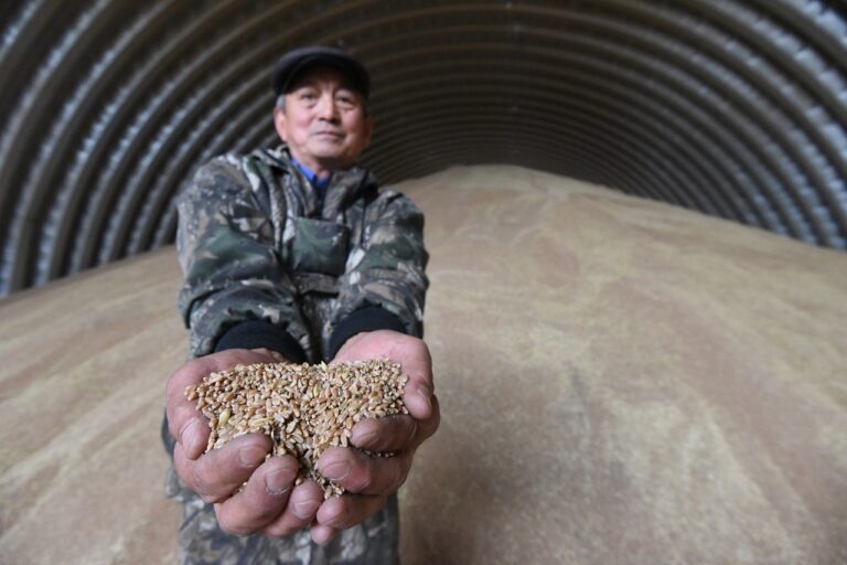    Из Оренбуржья стали вывозить больше зерна в Казахстан и Кыргызстан Оренбуржье