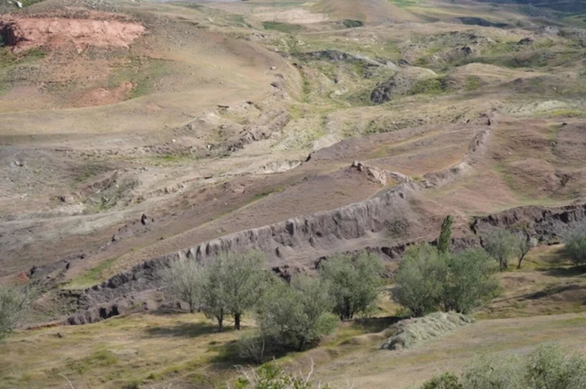    Знак Ноева ковчега.