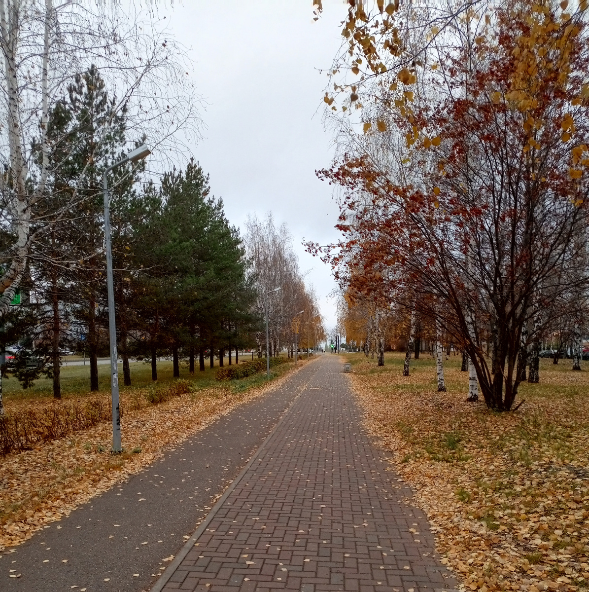 Мои новые маршруты