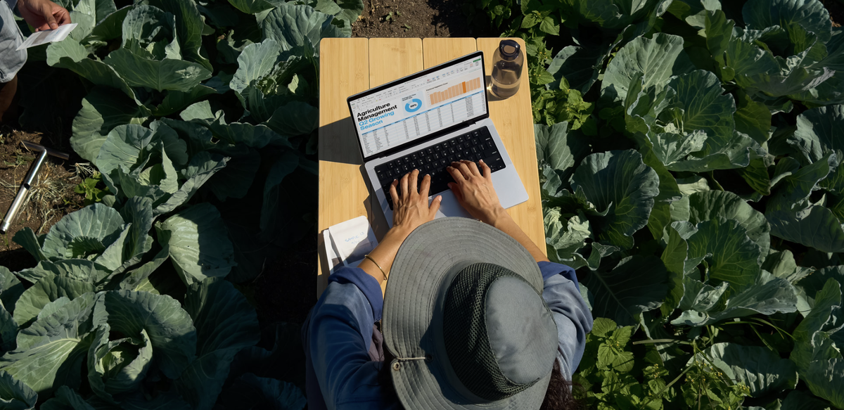 Источник : Apple.com 
Демонстрация работы с ноутбуком днем на улице