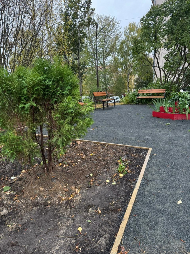    Благотворители создали сад с беседкой для пациентов паллиативного центра КарелииГБУЗ РК «Центр паллиативной медицинской помощи»