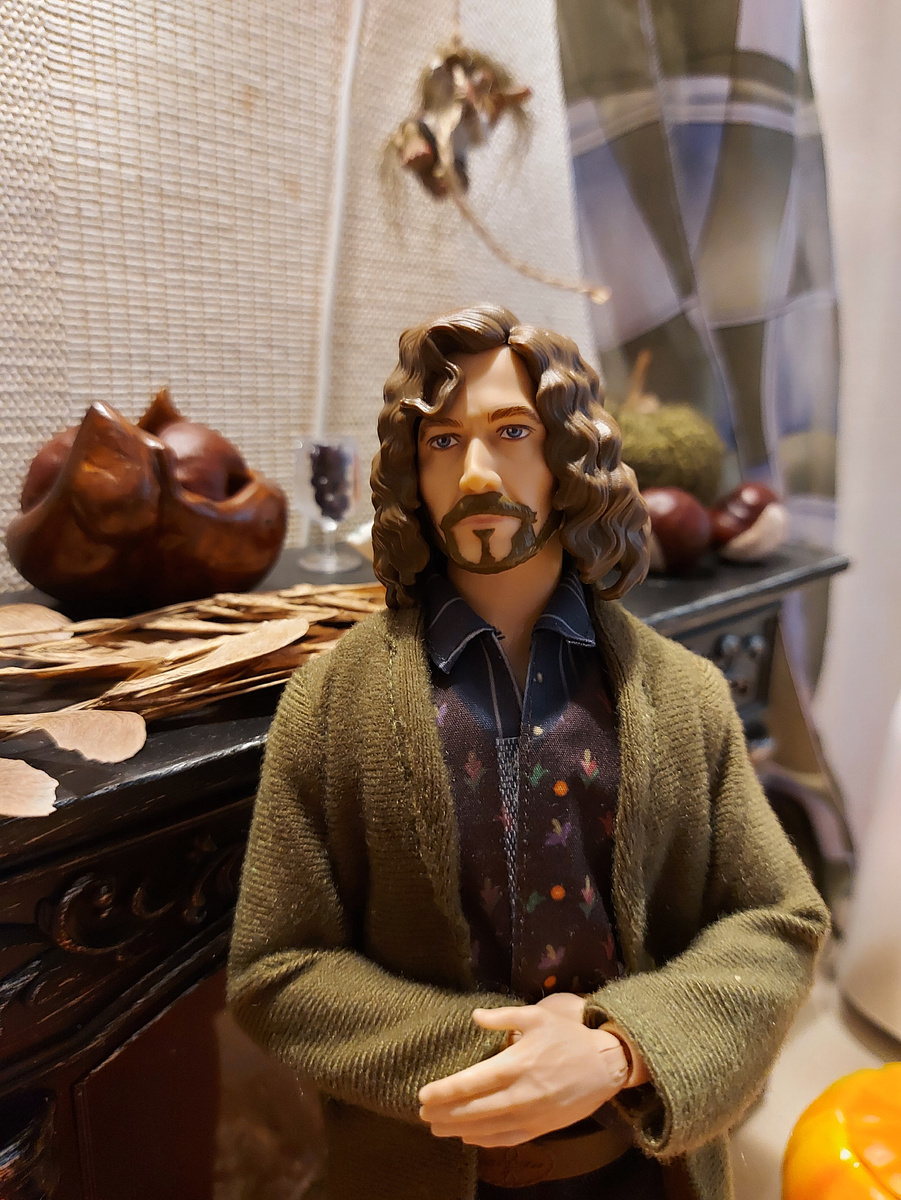 Сириус ван Дейк - философ, волшебник и хранитель кукольных миров