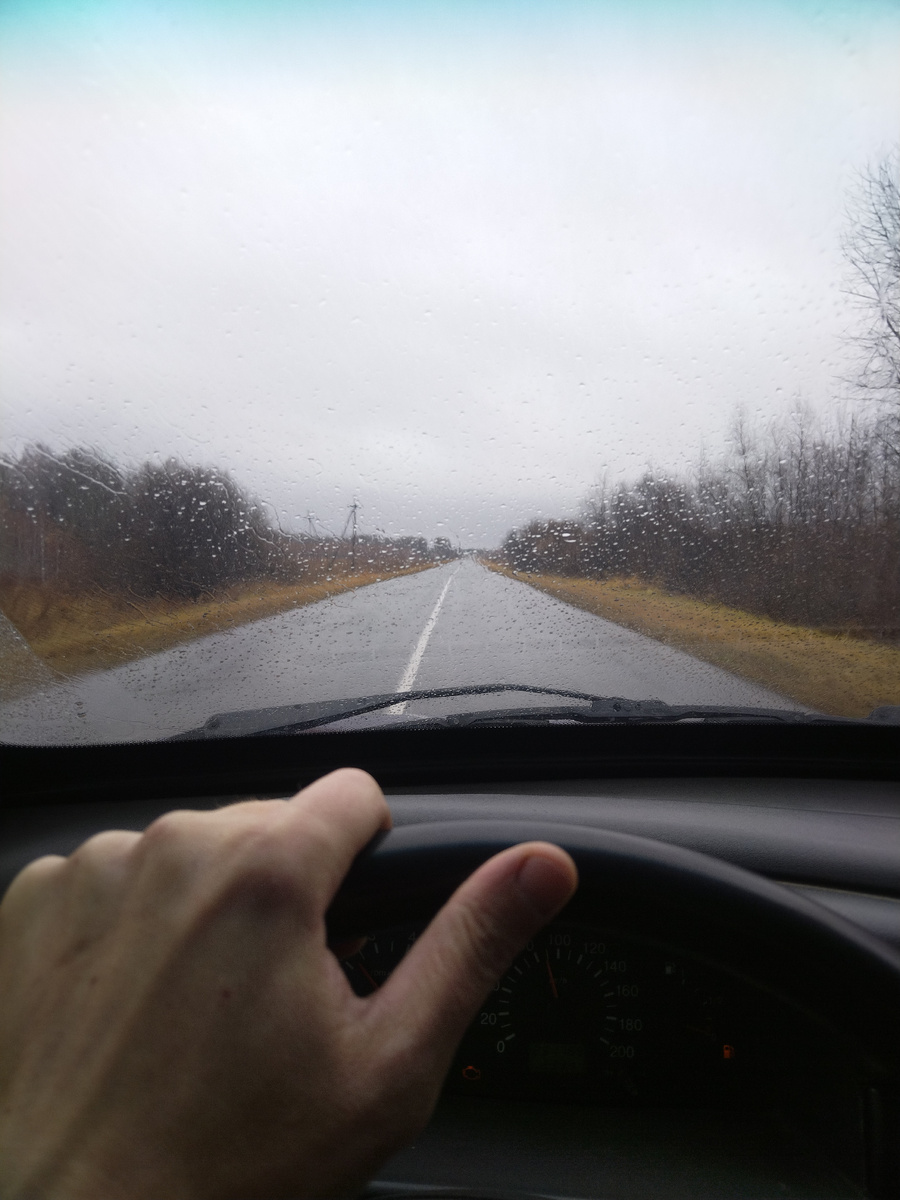 Всю дорогу от Бутаково до Омска моросил дождь.