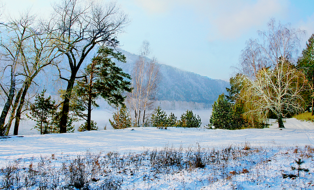 Фотография, стихотворение Василия Глуцкого