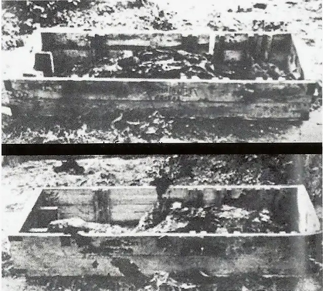 Обгоревшие тела Адольфа Гитлера и Евы браун