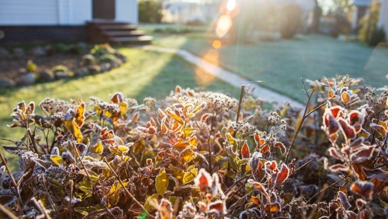 Фото: @shaplovevg / freepik.com