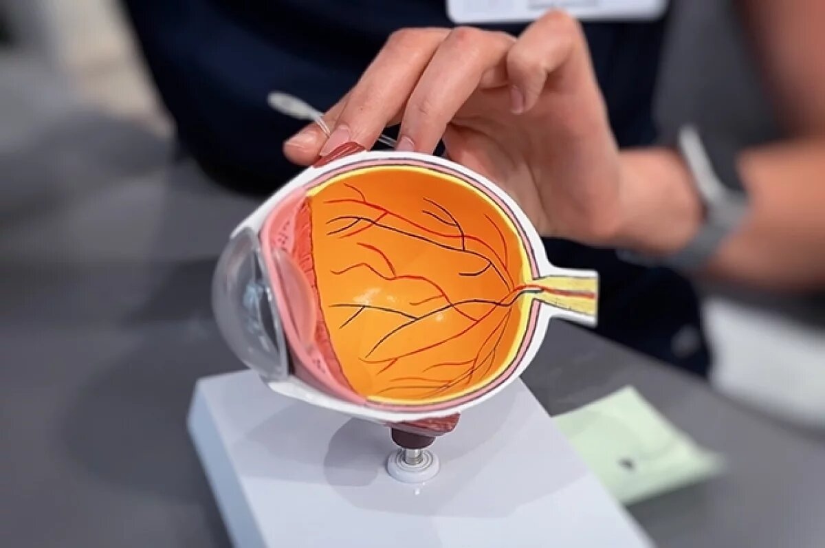    Вызвать отслойку сетчатки может множество причин.