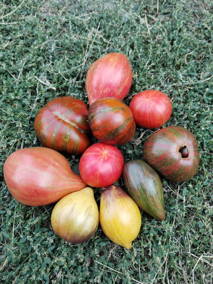 Пять новых звездных истребителей.
