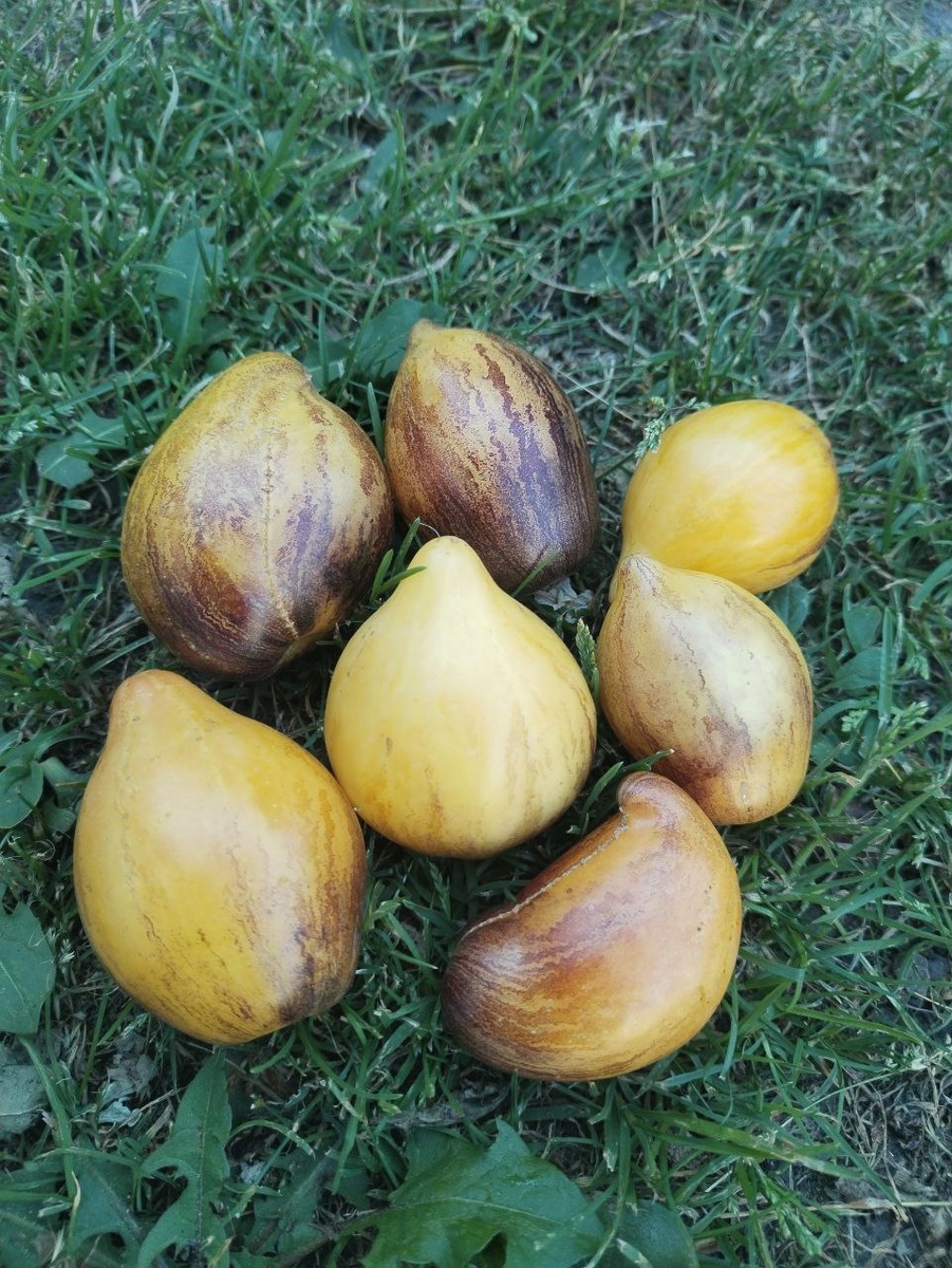 Кейли Энн в сентябре