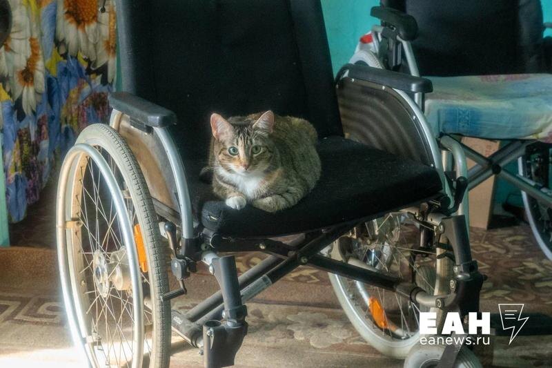    В доме, где сейчас живет человек, рухнула стена