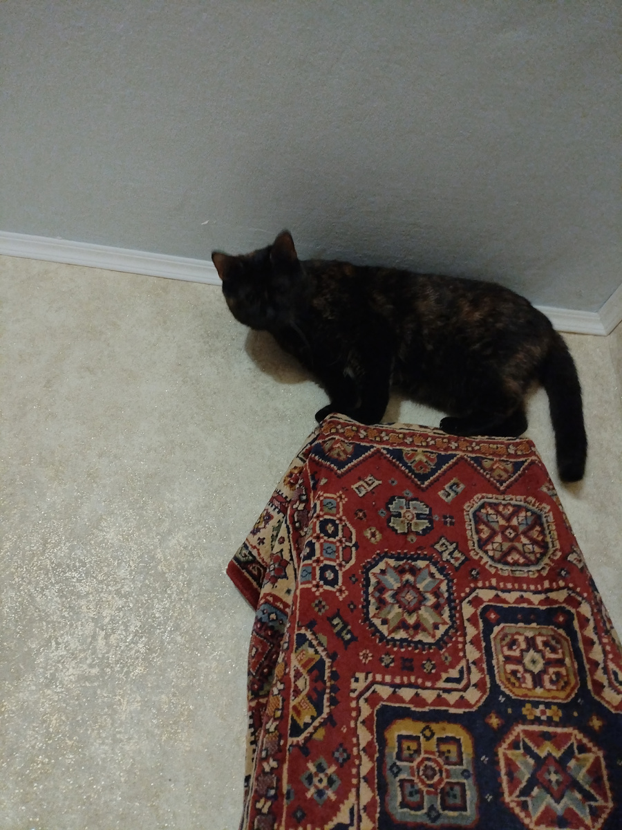 Альпинистка моя, скалолазка моя..