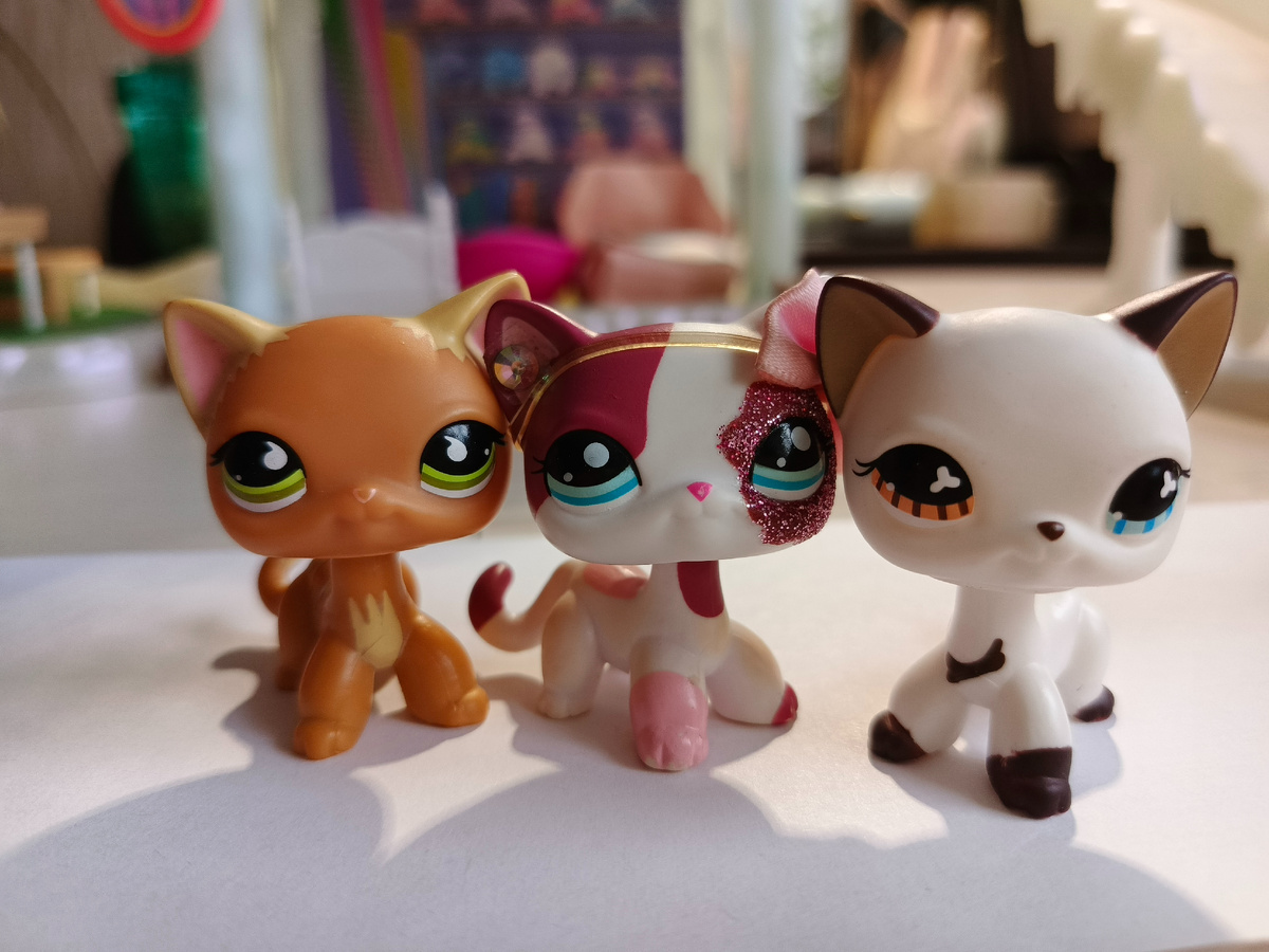 Это важно, нада читать))